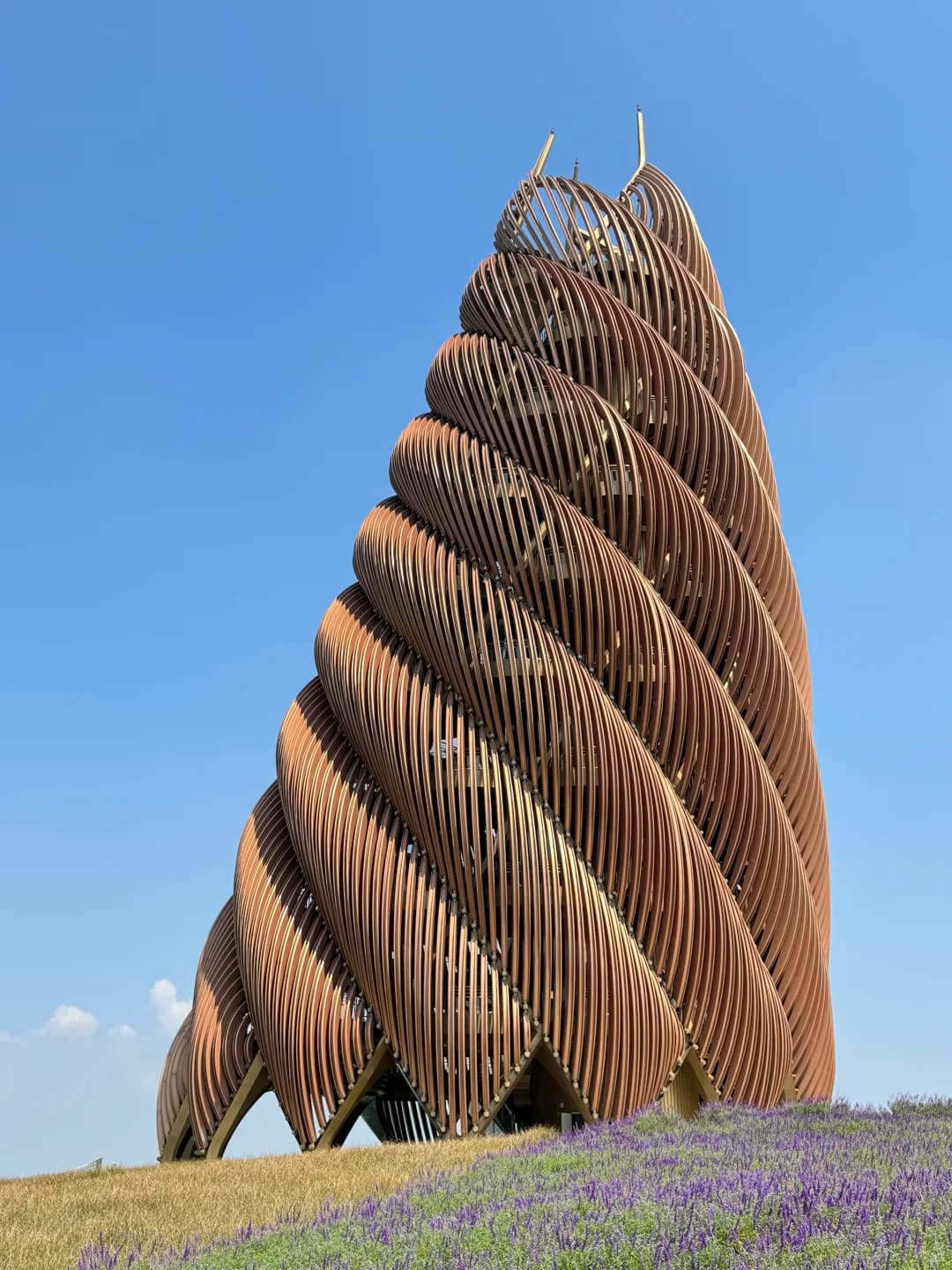 A Day at Chengdu's Panda Base: The Ultimate Itinerary for Panda Lovers