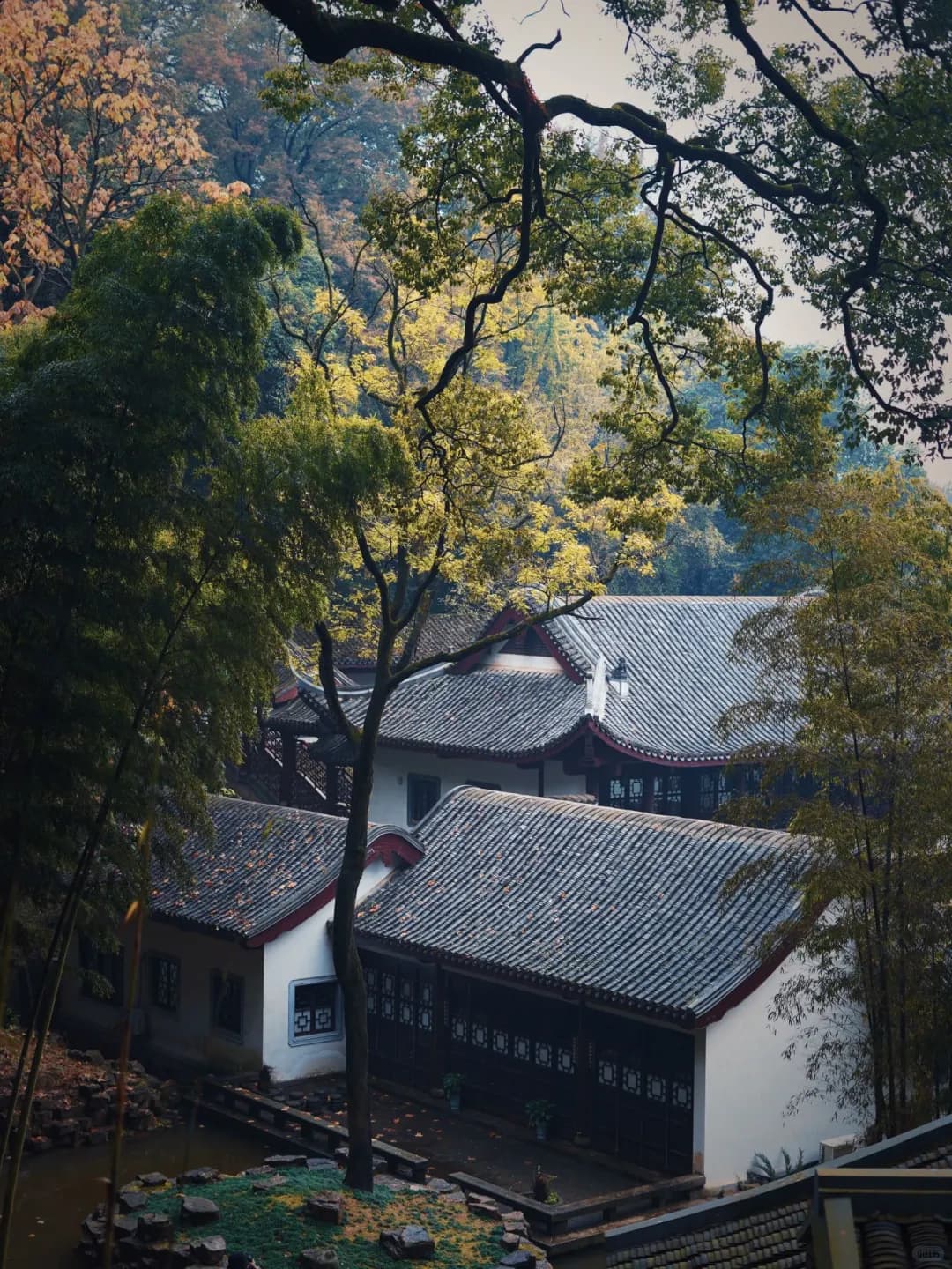 A Half-Day Tour of Yuelu Academy and Aiwan Pavilion: Experience a Thousand Years of History and Culture