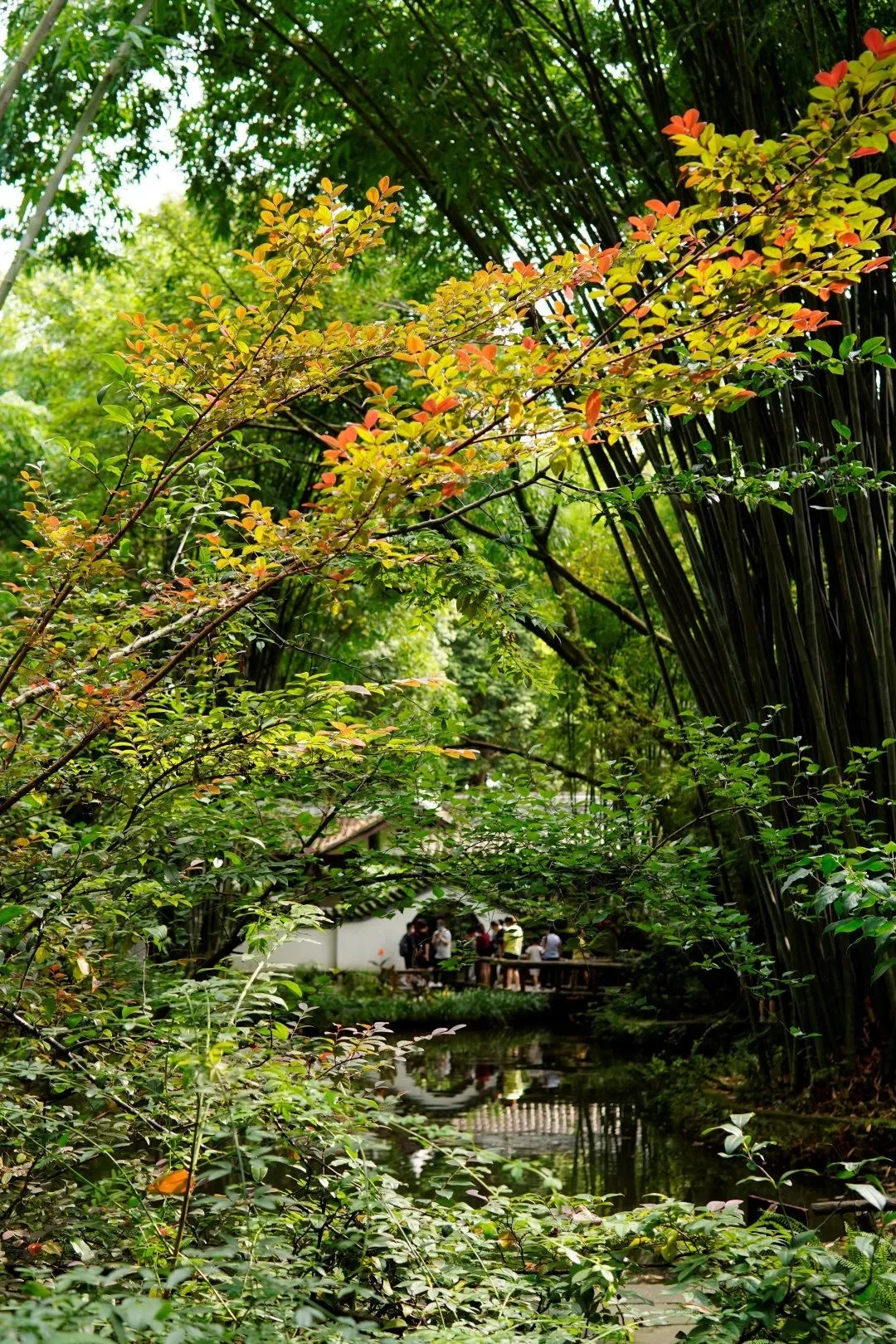 Dufu Cottage Main Gate