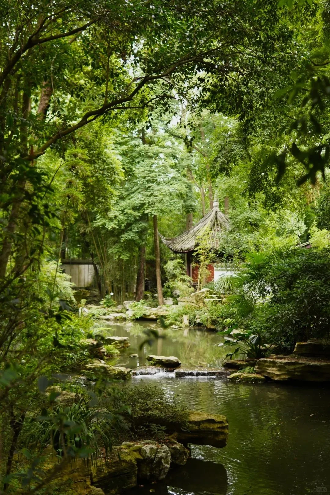 Koi and Water Features