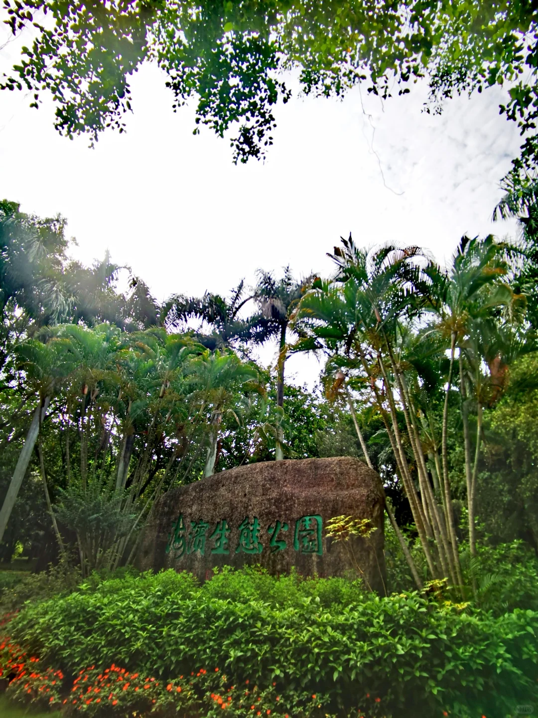Shenzhen Bay Mangrove Nature Reserve
