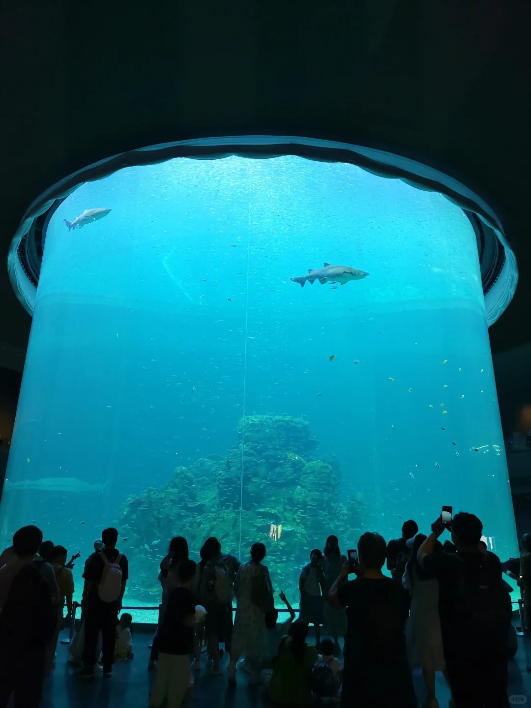 Xiaomeisha Ocean World