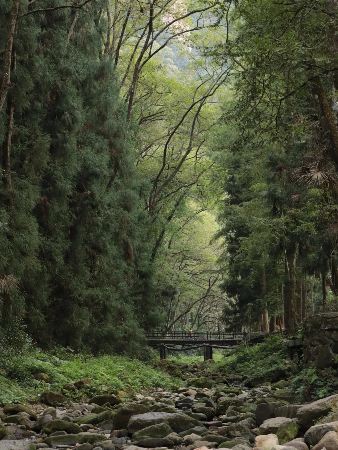 Zhangjiajie National Forest Park