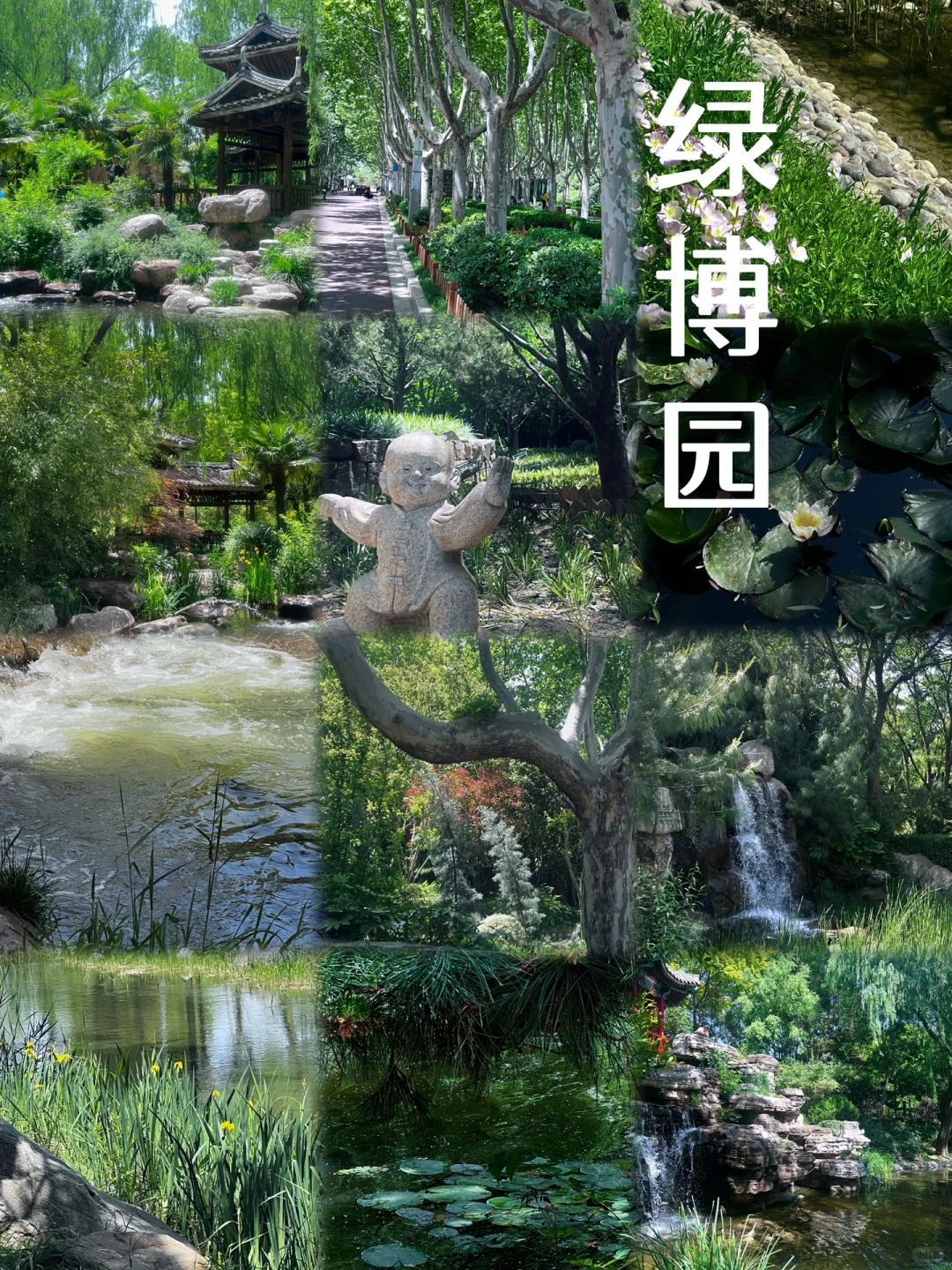 Zhengzhou Green Expo Garden